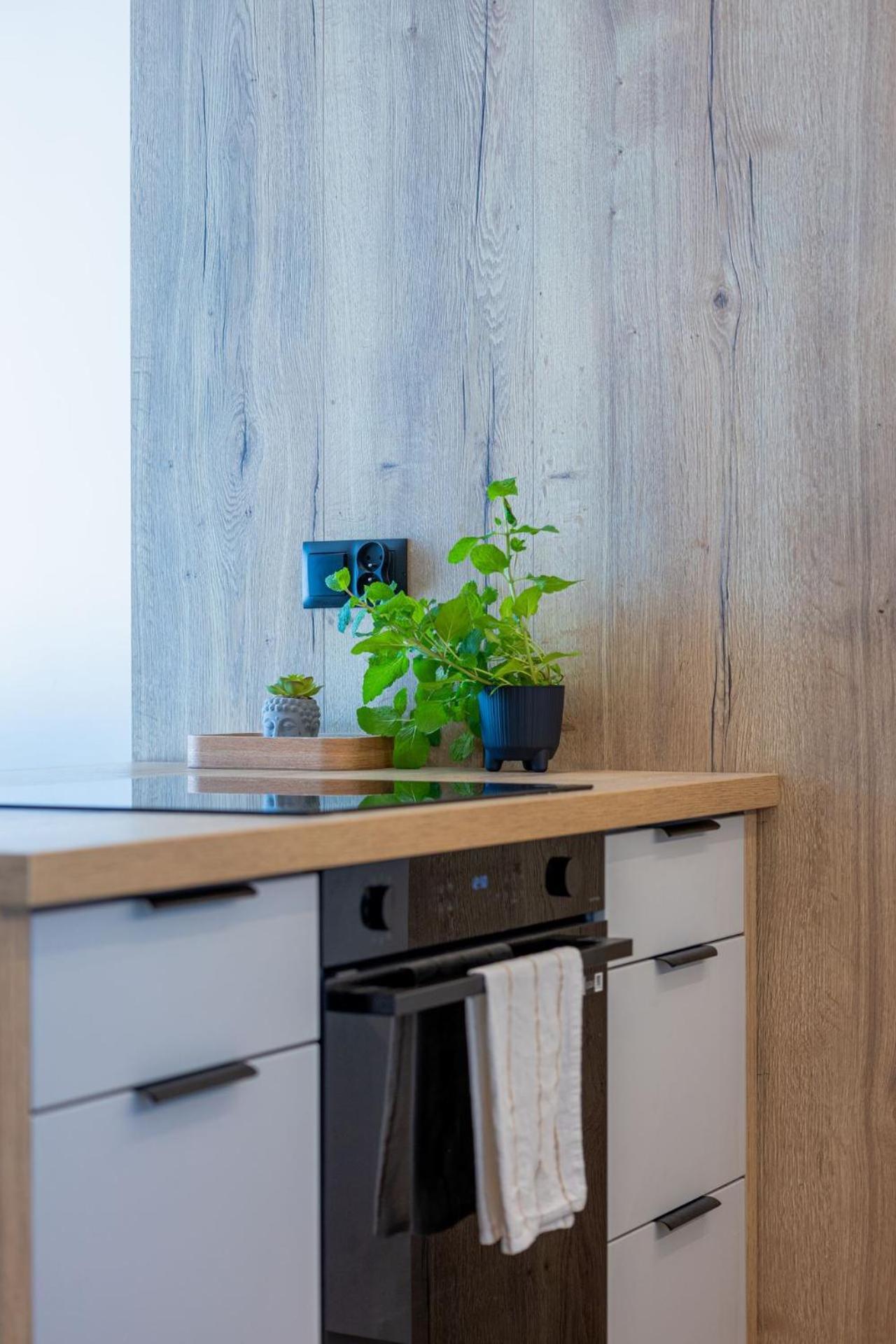 Vip Apartament Kopisto Centrum Rzeszow Dış mekan fotoğraf